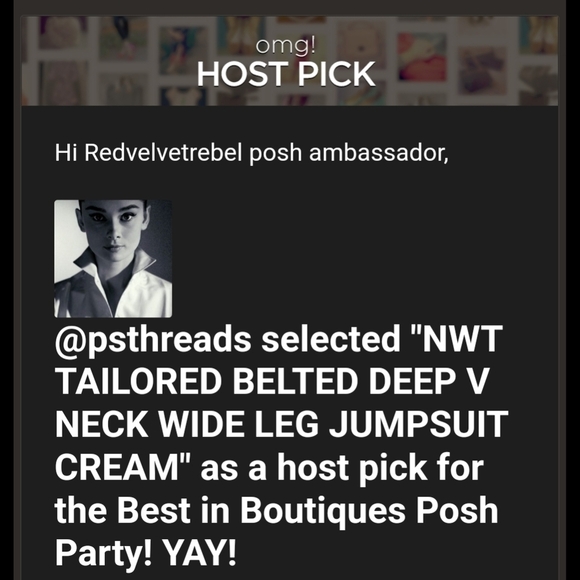 🧚‍♂️HOST PICK NWT Tailored Belted Deep V Neck Wideleg Jumpsuit in Cream Sz 10 - Picture 3 of 15